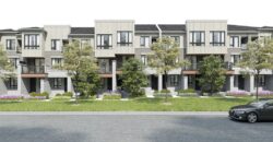 Bur Oak and Church Towns by Green City Development Group Inc. in Markham